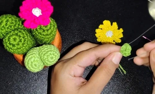 Crochet cactus amigurumi for shelves and gifting — photo 4
