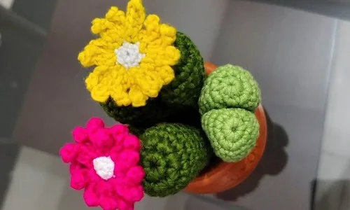 Crochet cactus amigurumi for shelves and gifting